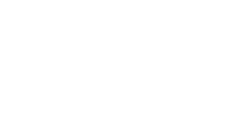 Wigan Council